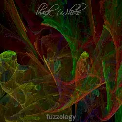 fuzzology by black (w)hole