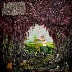Lesions of a Different Kind by Undeath