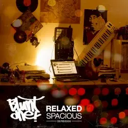 Relaxed Spacious by BluntOne