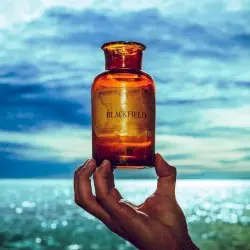 Blackfield V by Blackfield