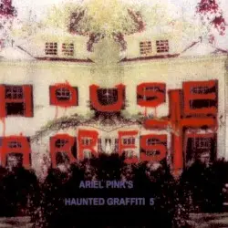 House Arrest by Ariel Pink’s Haunted Graffiti
