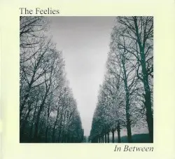 In Between by The Feelies