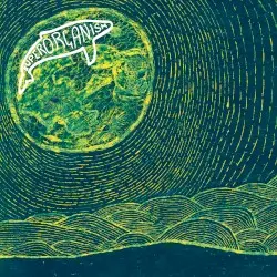 Superorganism by Superorganism