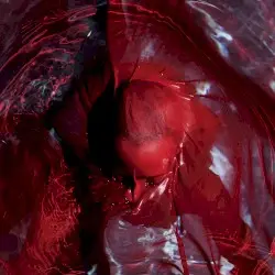 Not Here Not Gone by Blackwater Holylight