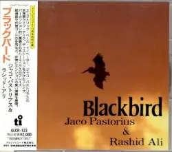 Blackbird by Jaco Pastorius & Rashied Ali