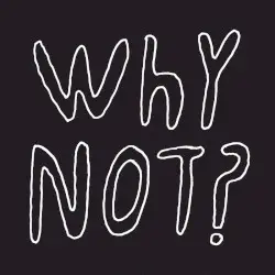 Why Not? by Half Japanese