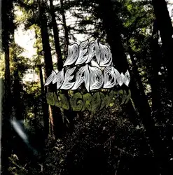 Old Growth by Dead Meadow