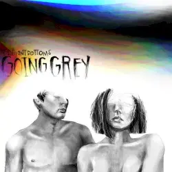 Going Grey by The Front Bottoms