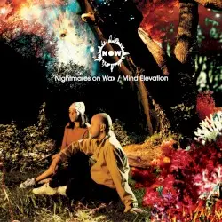 Mind Elevation by Nightmares on Wax