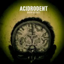 Born of Rats by Acidrodent