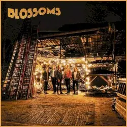 Blossoms by Blossoms