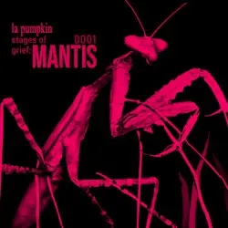stages of grief: MANTIS by la pumpkin