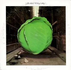 Cabbage Alley by The Meters