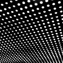 Bloom by Beach House
