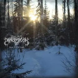 Roads to the North by Panopticon