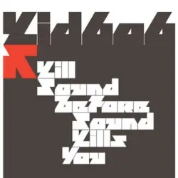 Kill Sound Before Sound Kills You by Kid606