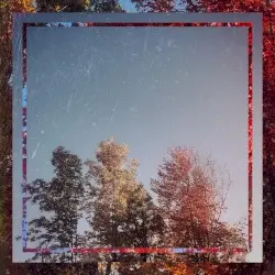 Leaf//sky by invention_