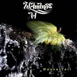 Wasserfall by Wolfgang Ambros