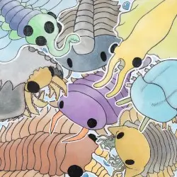 cambrian animals !! by camiidae