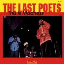 This Is Madness by The Last Poets