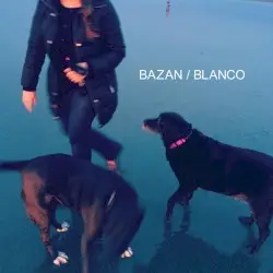 Blanco by David Bazan