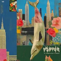 Flipper: Sghubu Indie Flips by Spoek Mathambo
