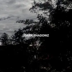 DARK SHADOWZ by Bstep