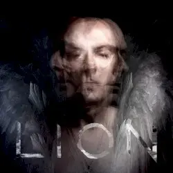 Lion by Peter Murphy