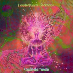 Loaded Spiral Meditation by Kawabata Makoto 河端一