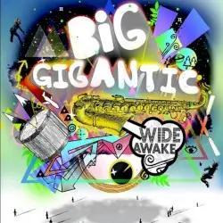 Wide Awake by Big Gigantic
