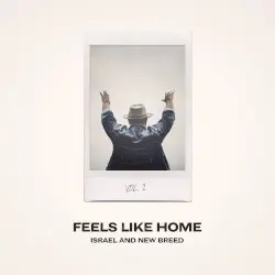 Feels Like Home, Vol. 2 by Israel & New Breed