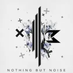 Nothing but Noise by Scraton