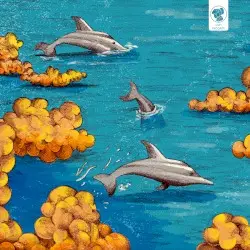 9h 06m by 96 Zeus, HM Surf