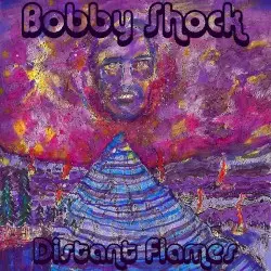 Distant Flames by Bobby Shock
