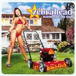 Playmate of the Year by Zebrahead