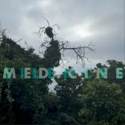 Silences by Medicine