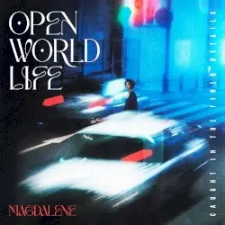 open world life by Magdalene