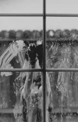 If You Are Dreaming About the Absolute, You Were Meant to Live for Things That No One Else Wants to Live For... by Wings of an Angel