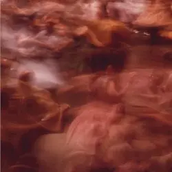 The Dream of Change by Delphine Dora & Jackie McDowell