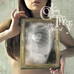 The Sound by Color Theory
