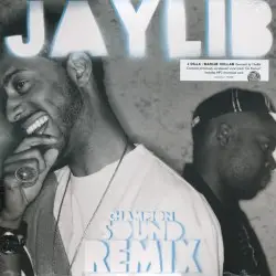 Champion Sound: The Remix by Jaylib