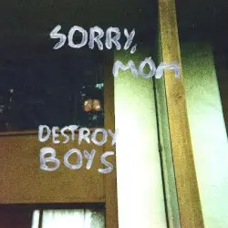 Sorry, Mom by Destroy Boys
