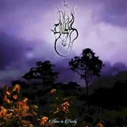 Shine in Purity by Soulless
