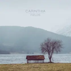 Fields by Carinthia