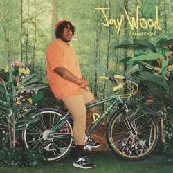 Slingshot by JayWood