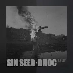 Split by Sin Seed + DNOC