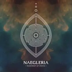 Naegleria by Movement of Static