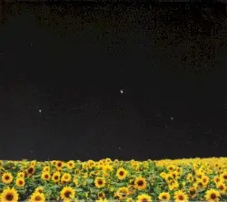 hikarihimawari by cruyff in the bedroom