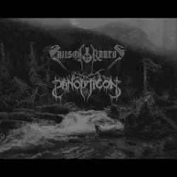Falls of Rauros / Panopticon by Falls of Rauros / Panopticon