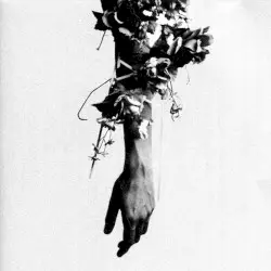 The Flowers of Romance by Mouse on the Keys